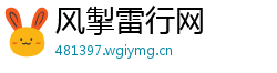 风掣雷行网